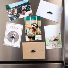 Load image into Gallery viewer, Moustache Magnets