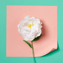 Load image into Gallery viewer, Paper Flower Kit