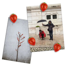 Load image into Gallery viewer, Strawberry Magnets